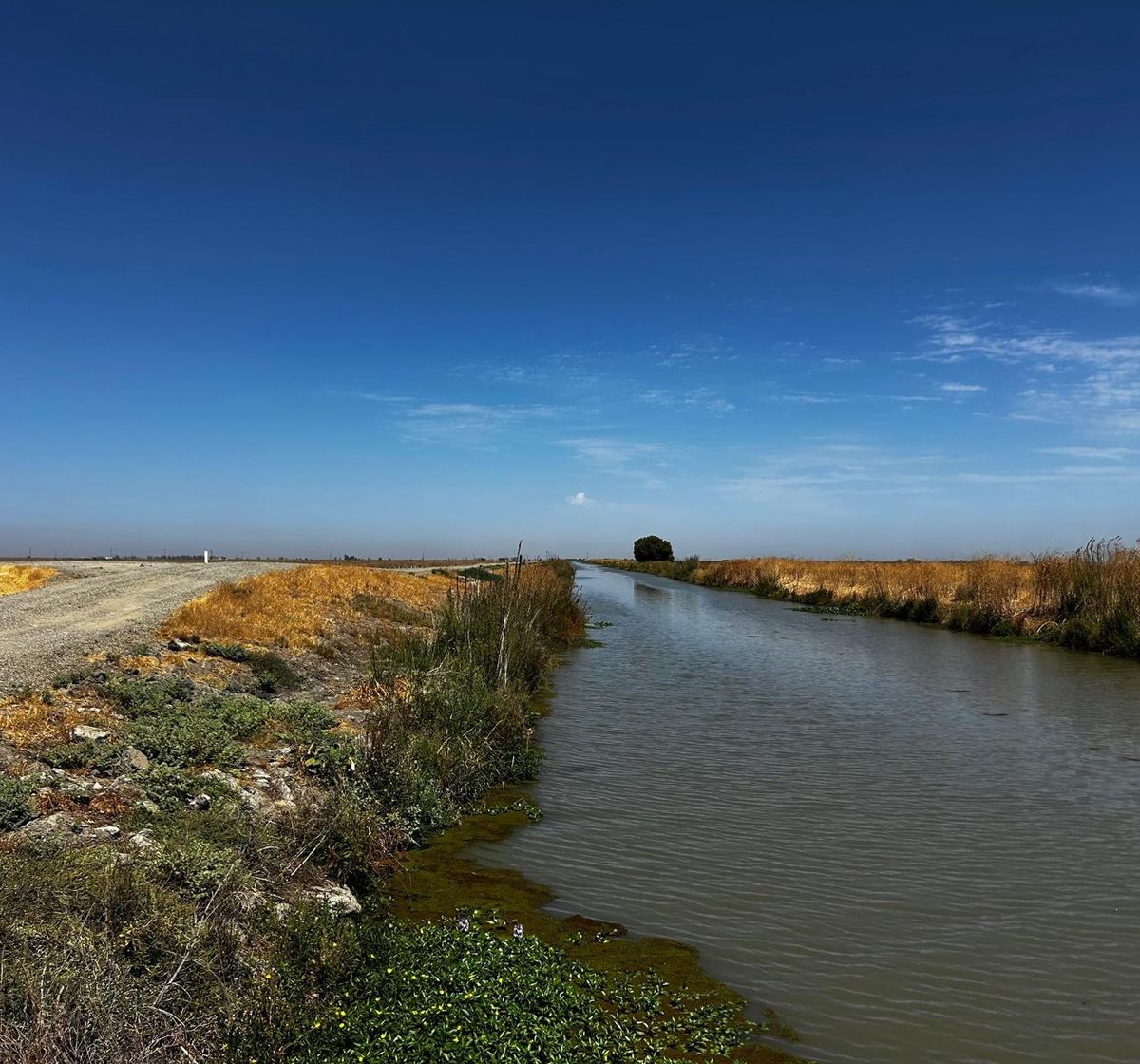 Irrigation canal running straight across farmland under a blue sky